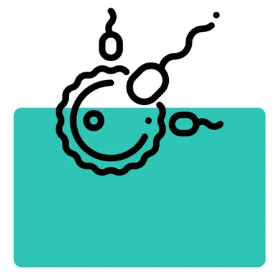 Fertility Support